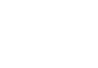 topicon